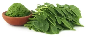 moringa-herbal-leaves-500x500